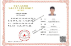 一级造价工程师,构建高效造价管理新格局